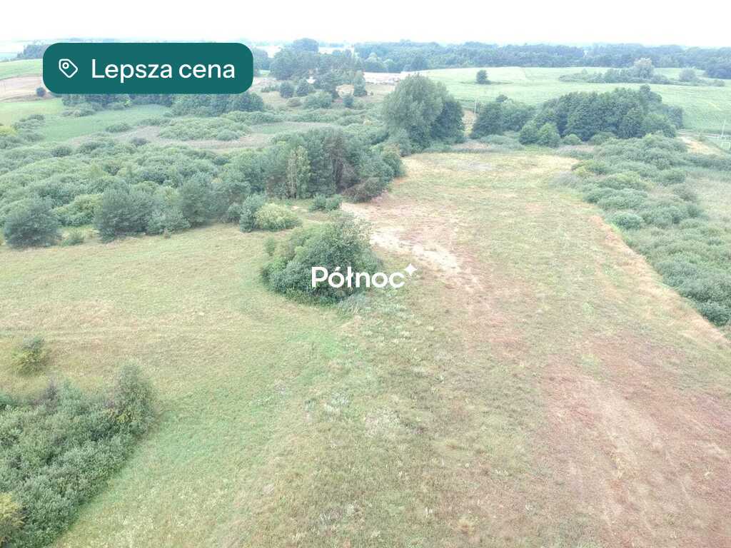 Zdjęcie 6
