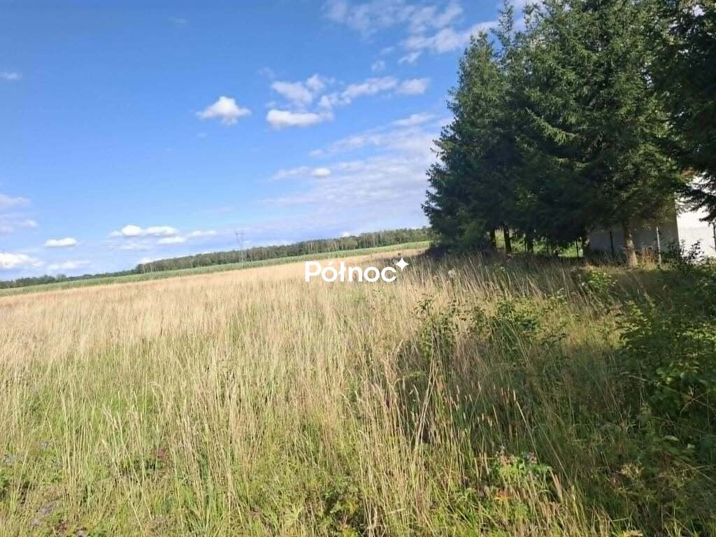 Zdjęcie 2