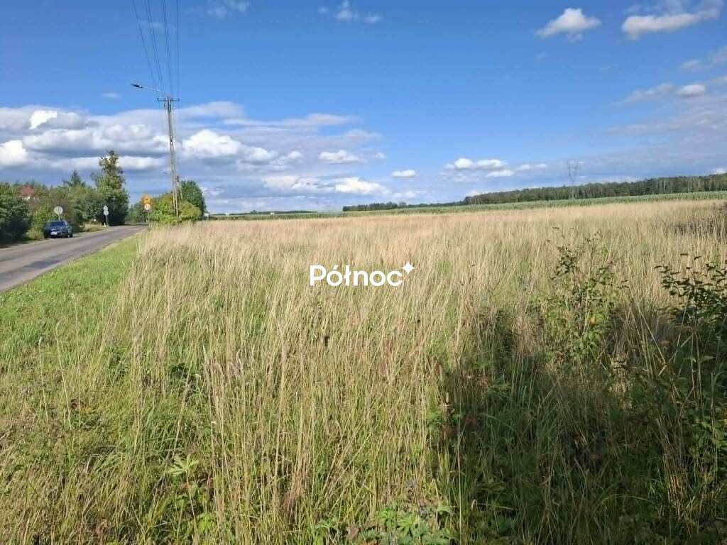 Zdjęcie 4
