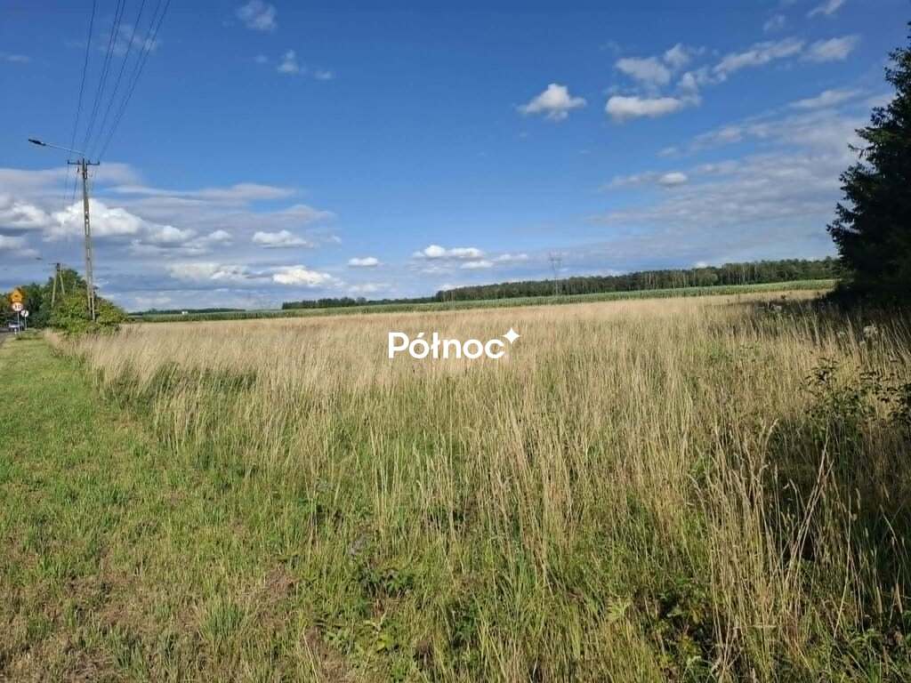 Zdjęcie 5