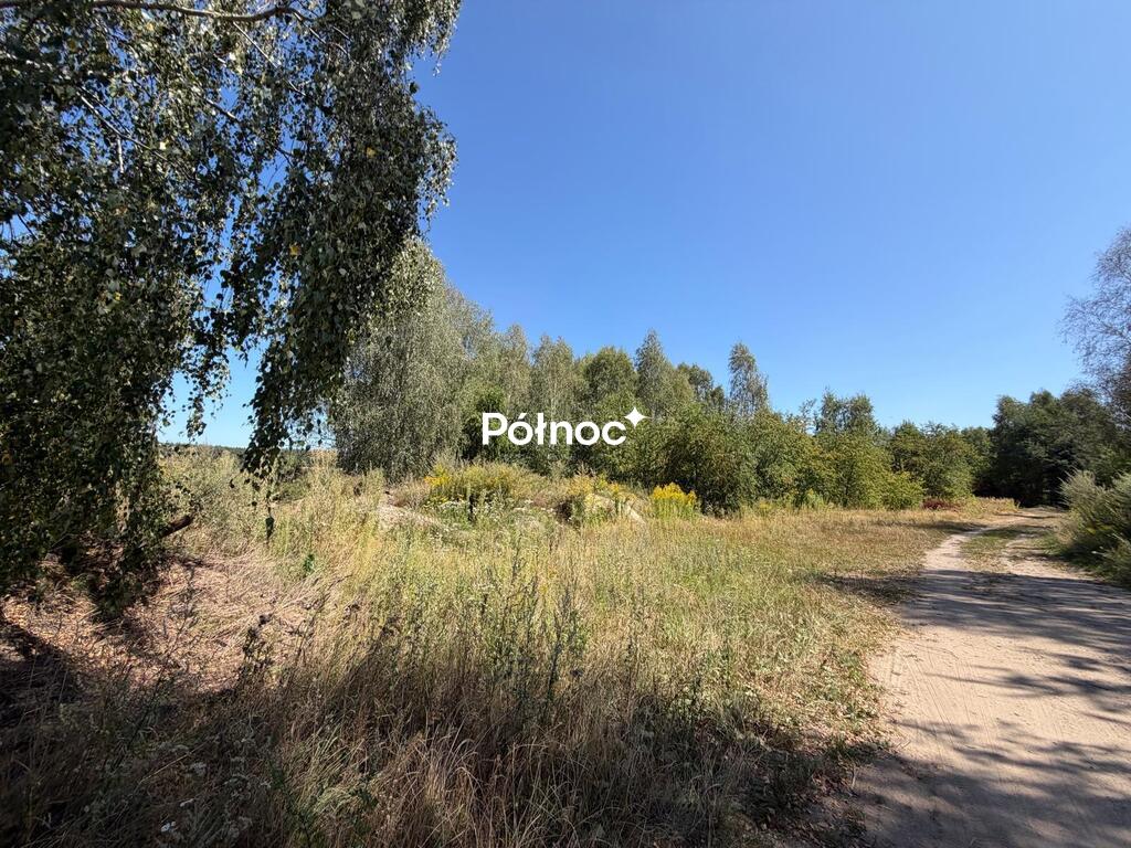 Zdjęcie 3