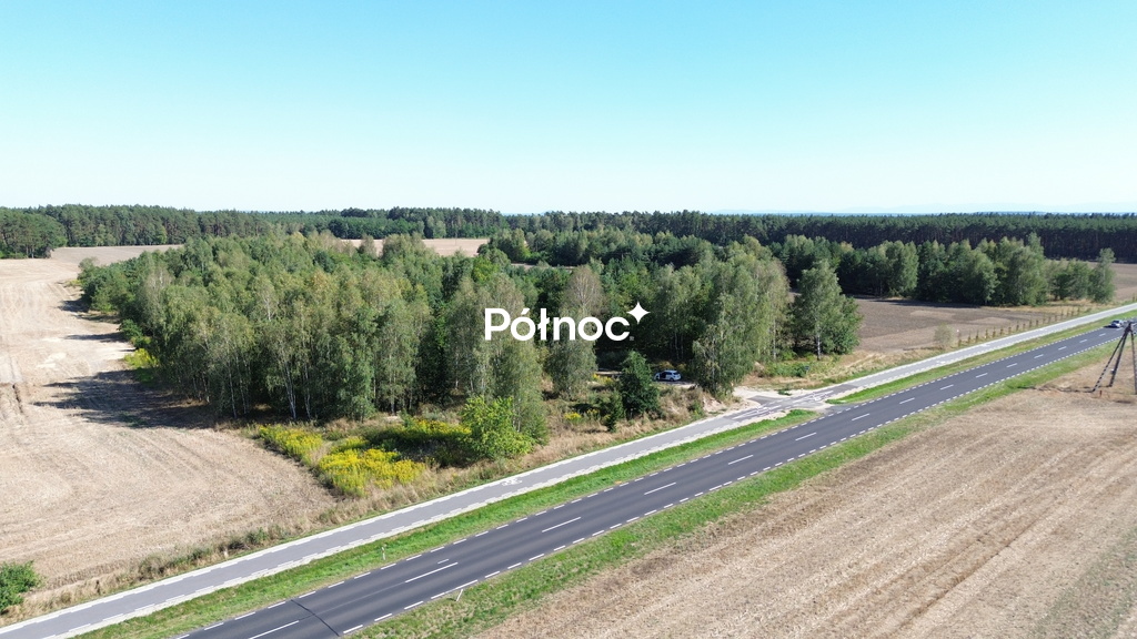 Zdjęcie 5