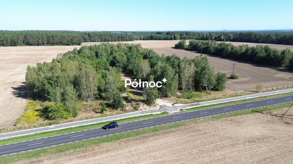 Zdjęcie 8
