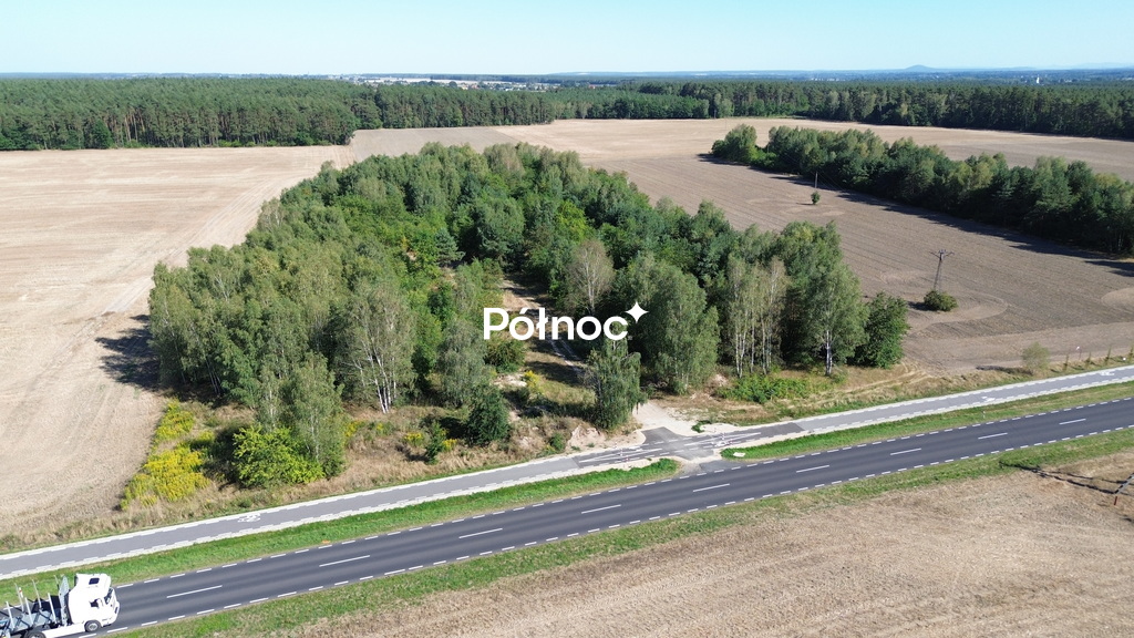 Zdjęcie 10