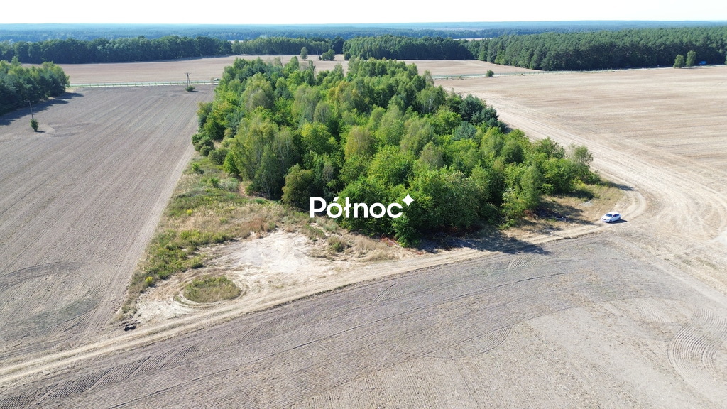 Zdjęcie 11