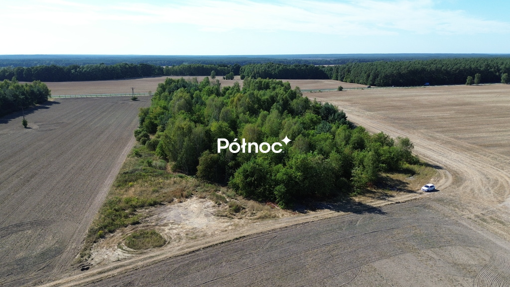 Zdjęcie 12