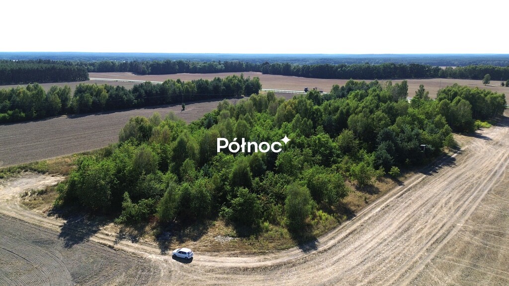 Zdjęcie 14