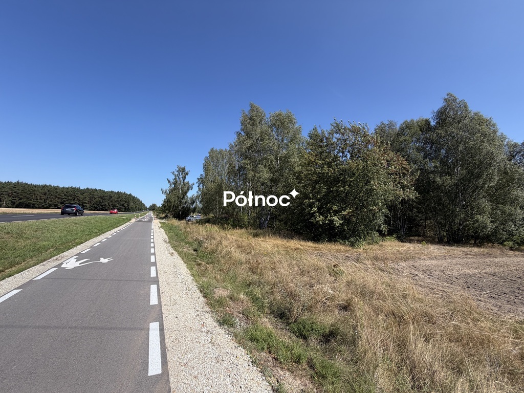 Zdjęcie 17