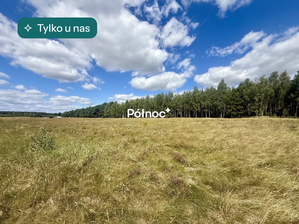 Działka przy lesie, Trzęsów