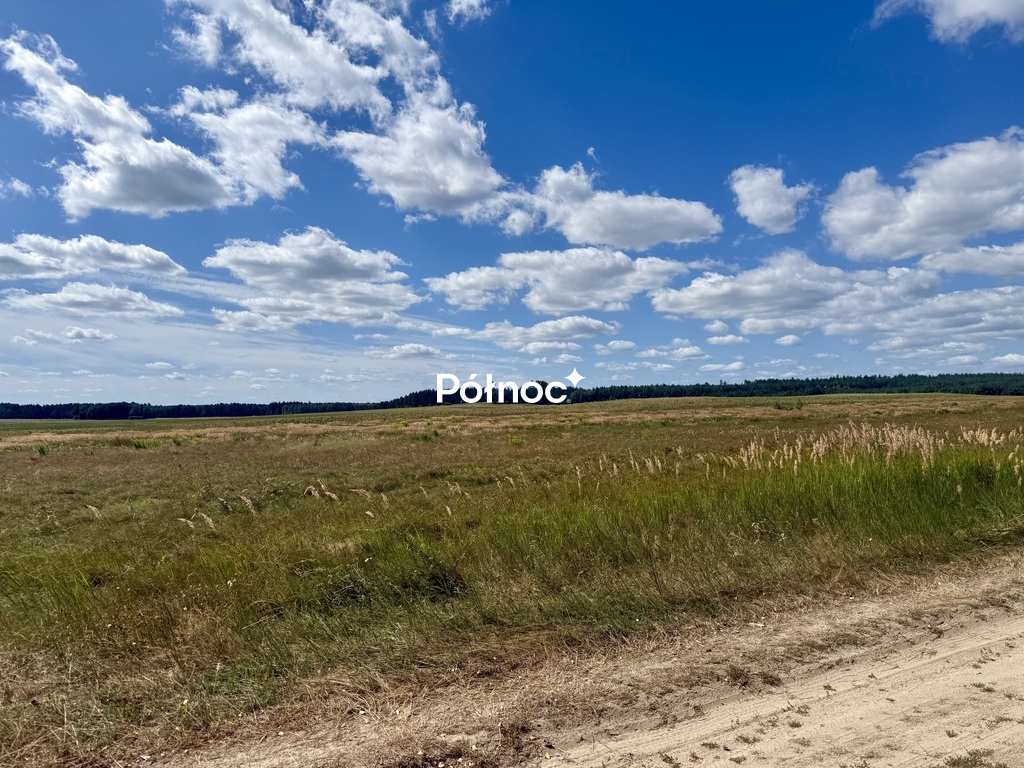Zdjęcie 7