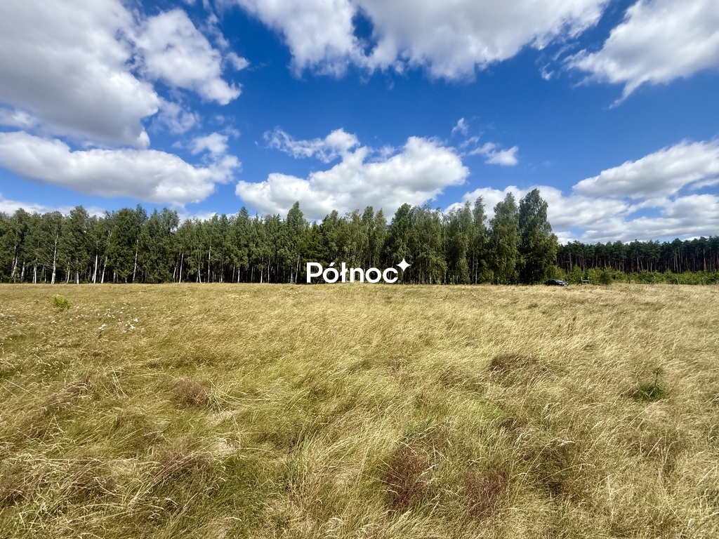 Zdjęcie 8