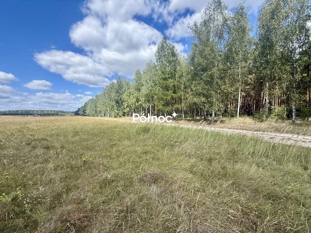 Zdjęcie 10
