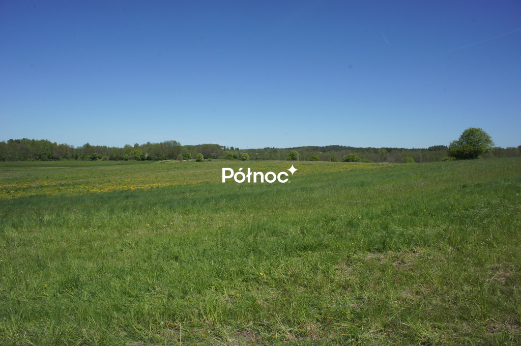 Zdjęcie 9