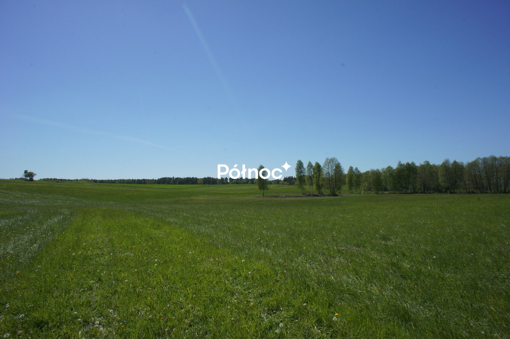 Zdjęcie 11