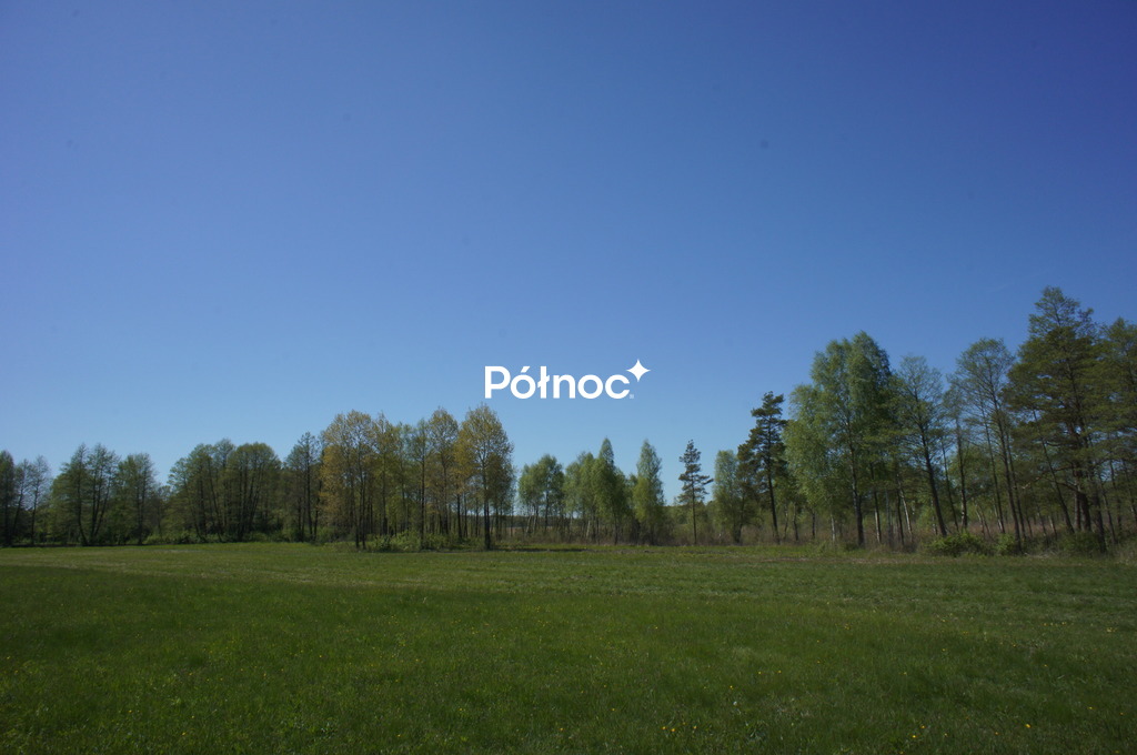 Zdjęcie 12