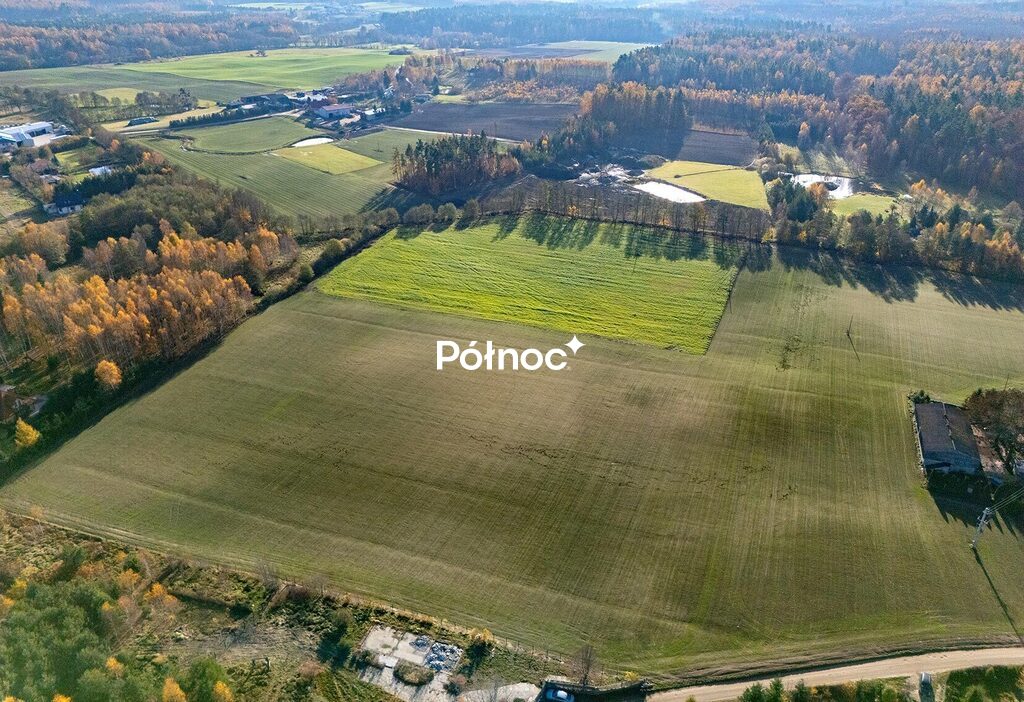 Zdjęcie 2