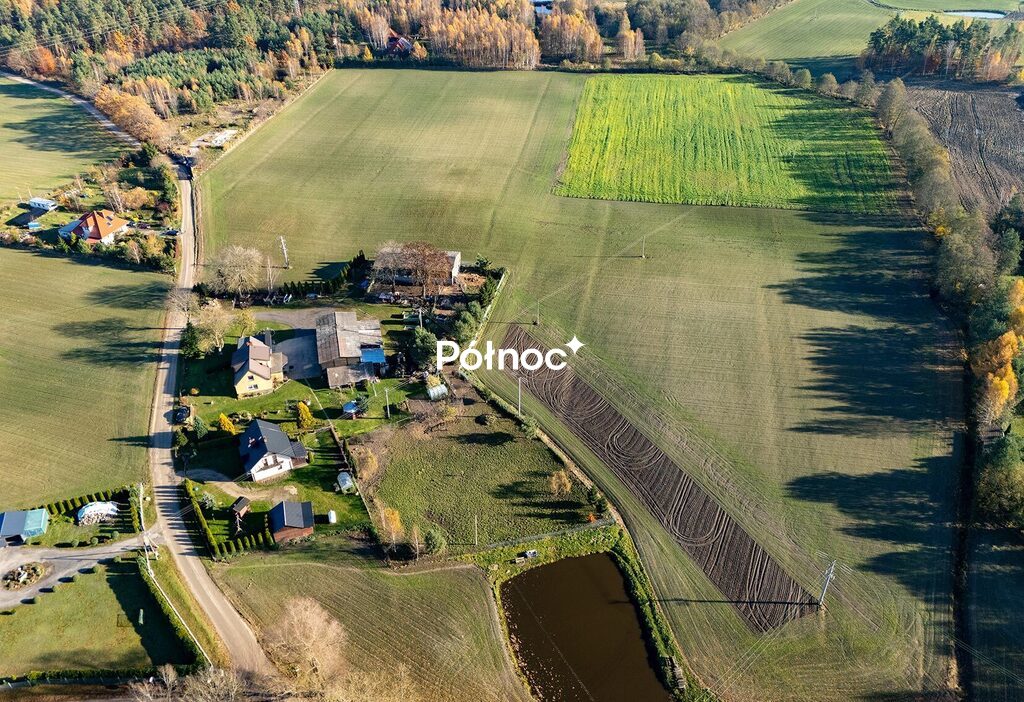 Zdjęcie 5