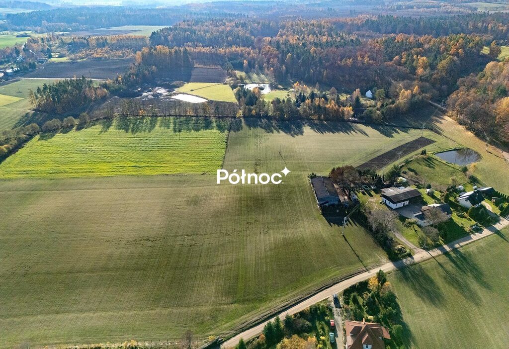 Zdjęcie 6