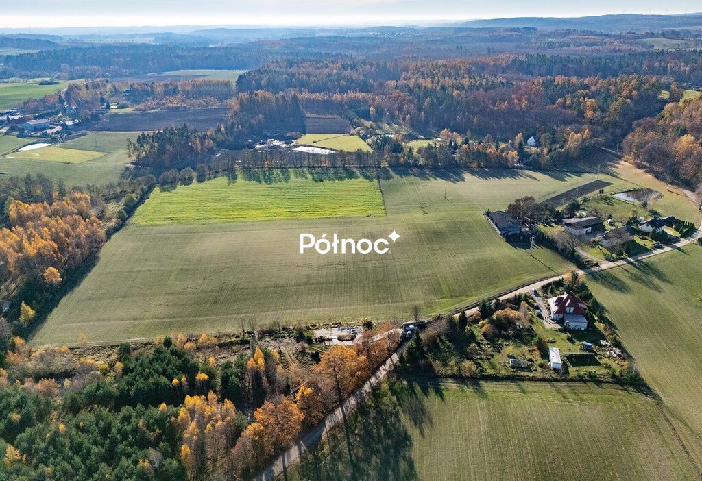 Zdjęcie 7
