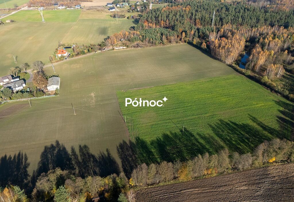 Zdjęcie 8