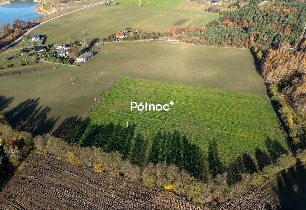 Zdjęcie 9