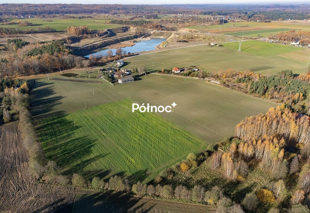 Zdjęcie 10
