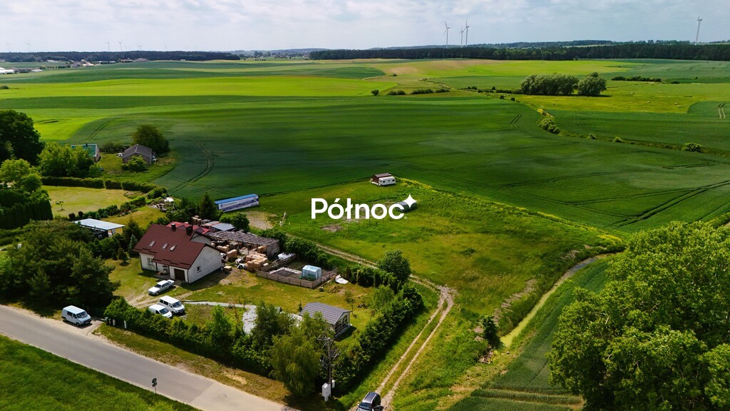 Zdjęcie 2