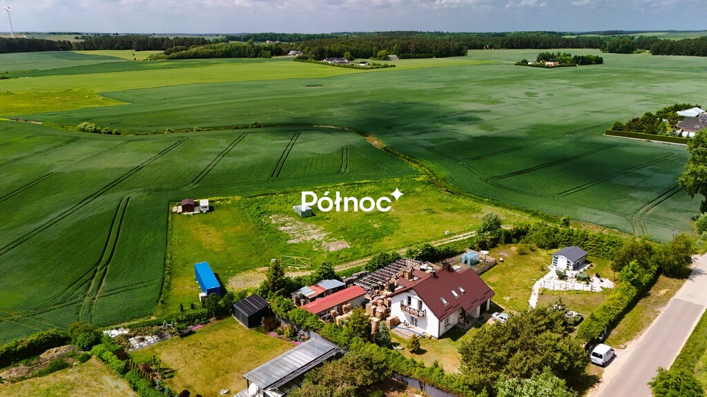 Zdjęcie 3