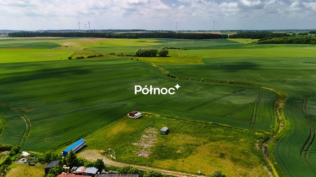 Zdjęcie 12