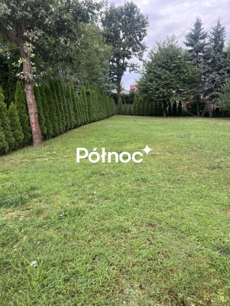 Zdjęcie 2