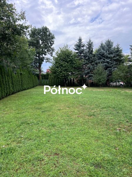 Zdjęcie 3