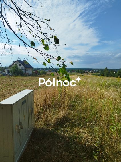 Zdjęcie 4
