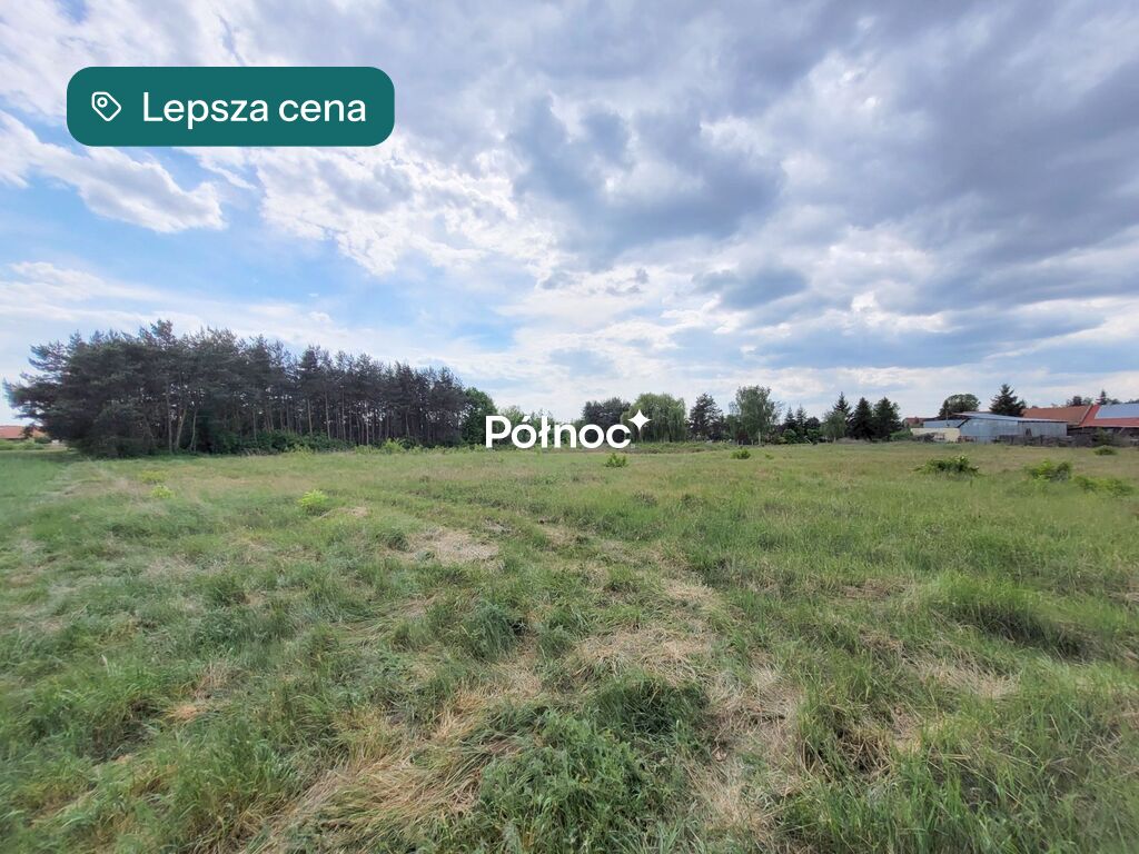 Zdjęcie 10