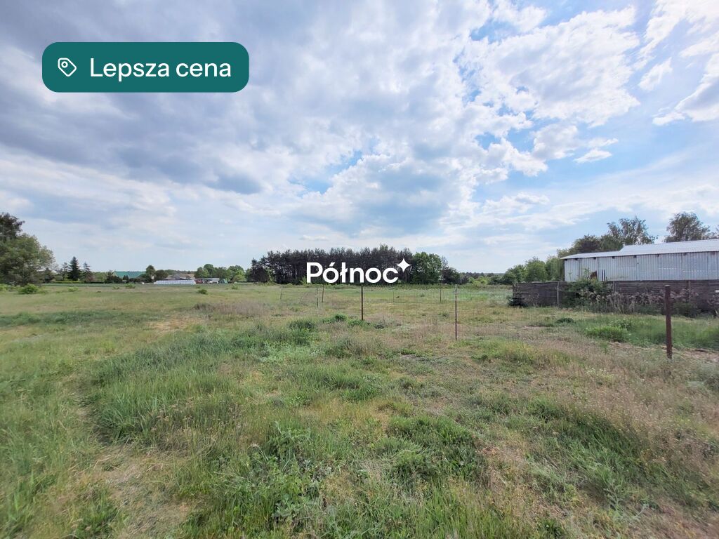 Zdjęcie 11