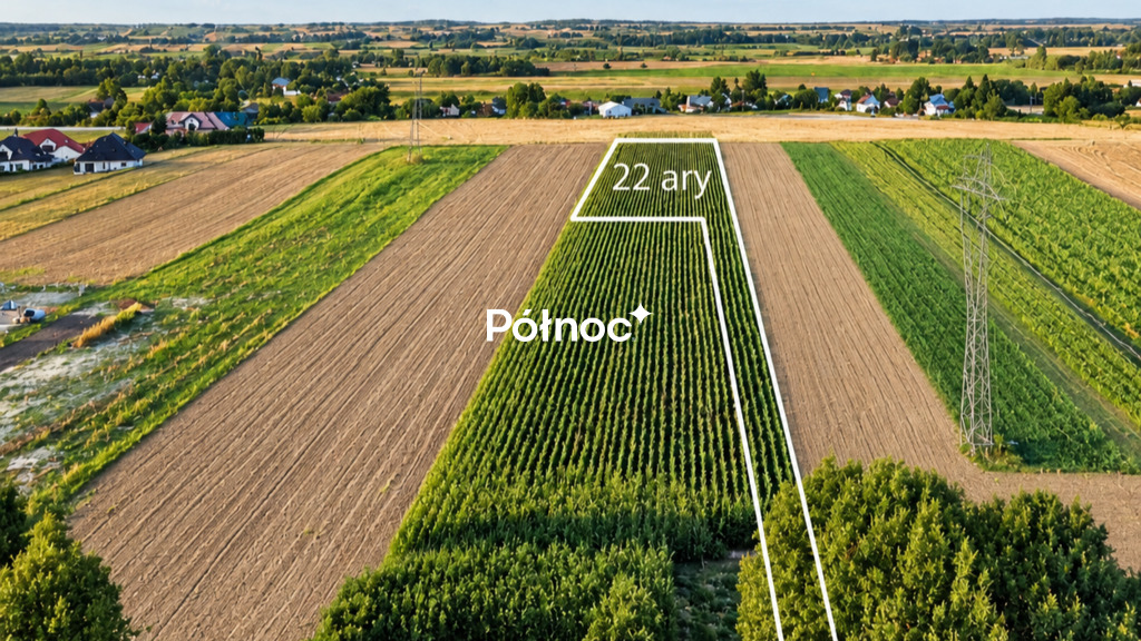 Zdjęcie 4