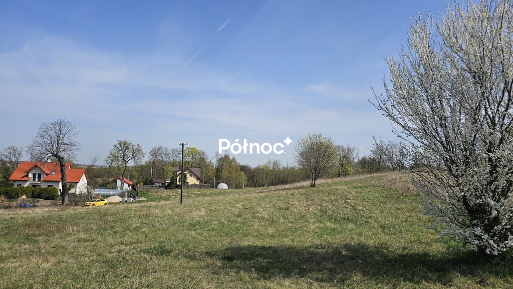 Zdjęcie 5