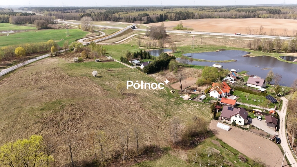 Zdjęcie 8