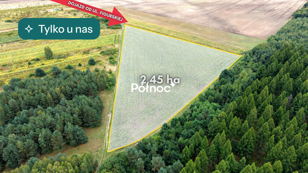 Działka rolna 2,45ha z uprawą kukurydzy | gm Janów