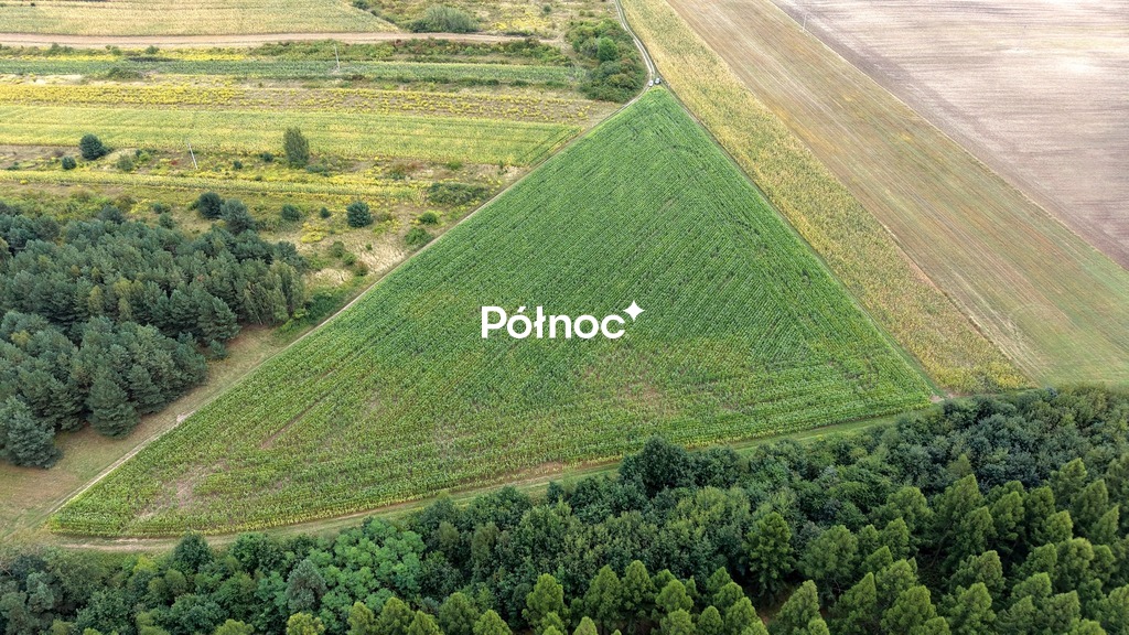 Zdjęcie 3