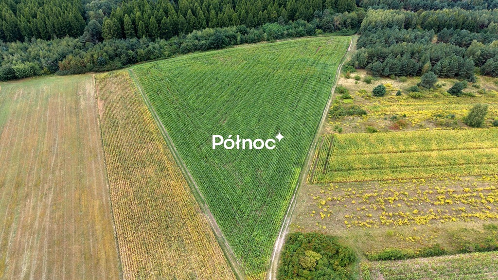 Zdjęcie 4