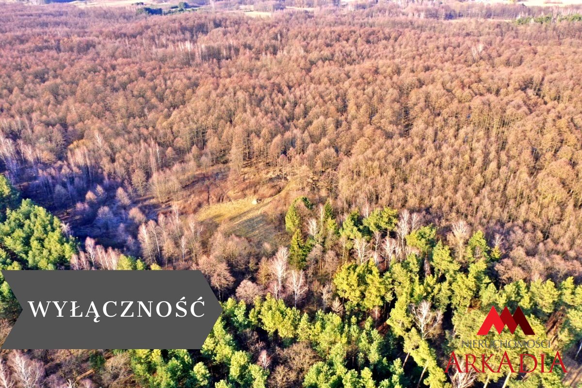Działka leśna/Wistka Królewska