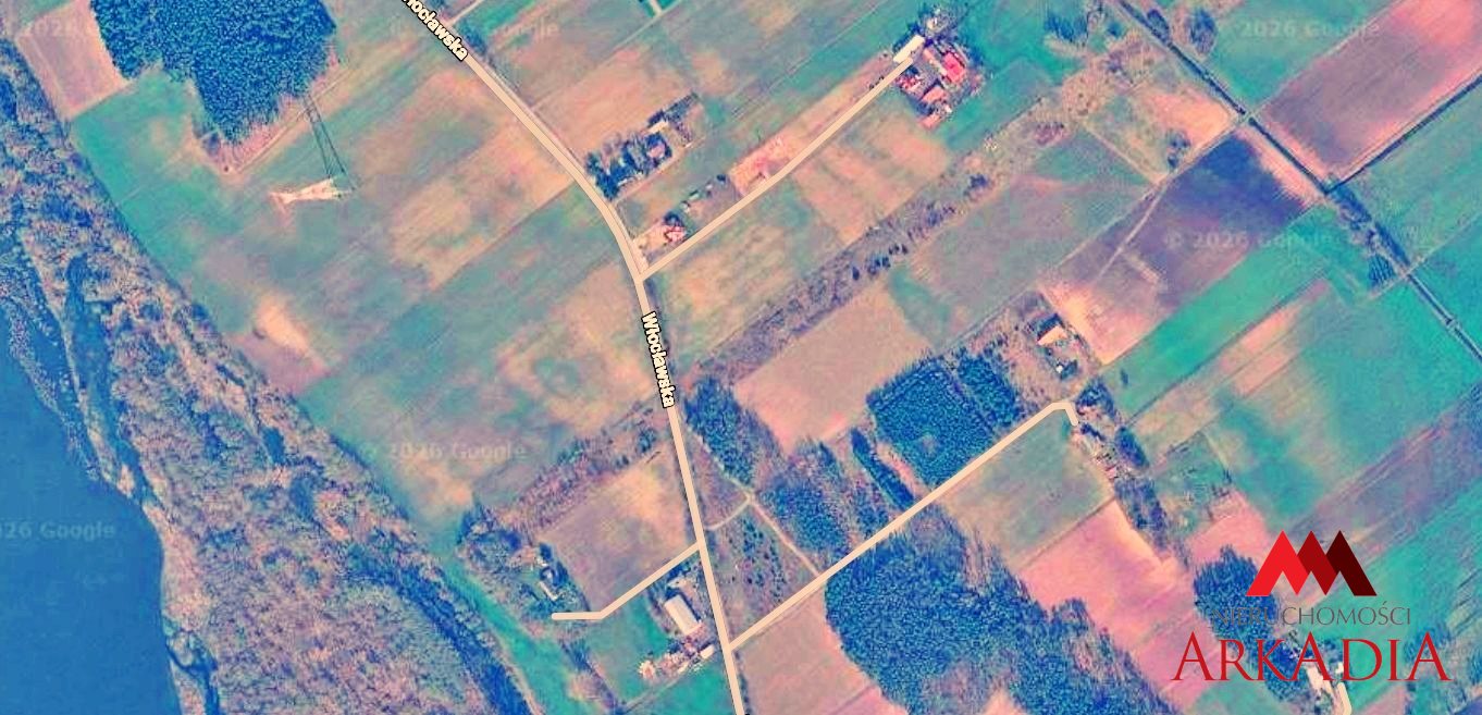 Zdjęcie 6