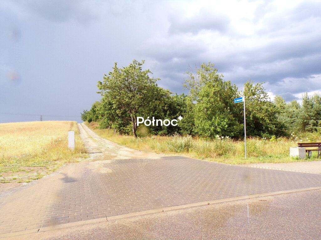 Zdjęcie 8