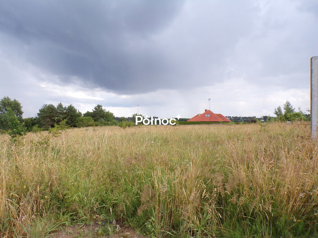 Zdjęcie 9