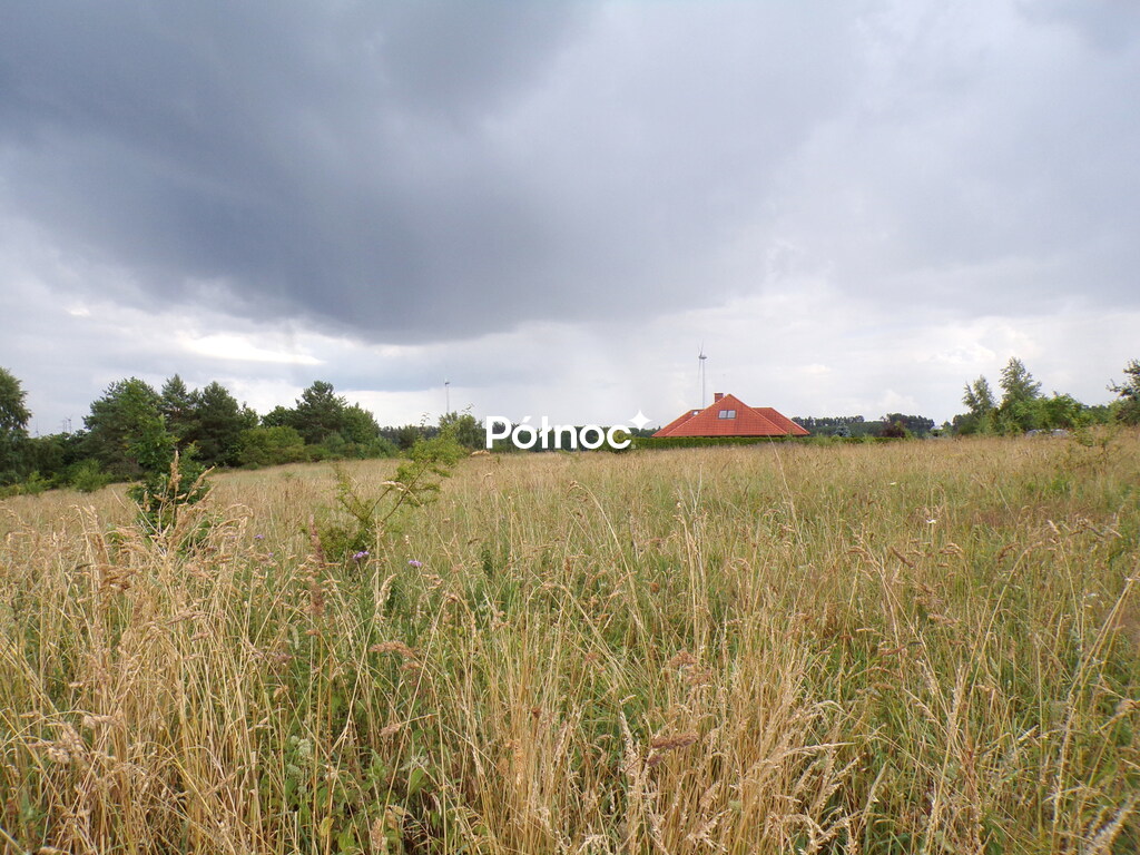 Zdjęcie 10