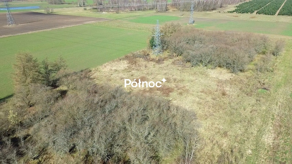Zdjęcie 14
