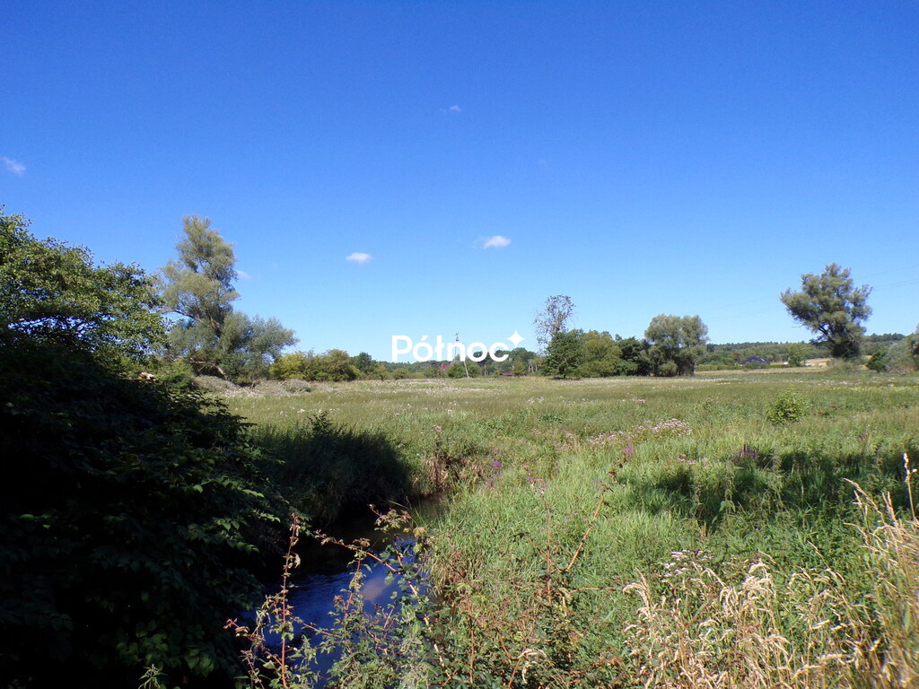 Zdjęcie 10