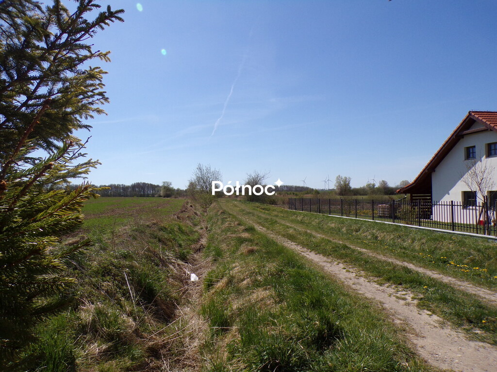 Zdjęcie 2