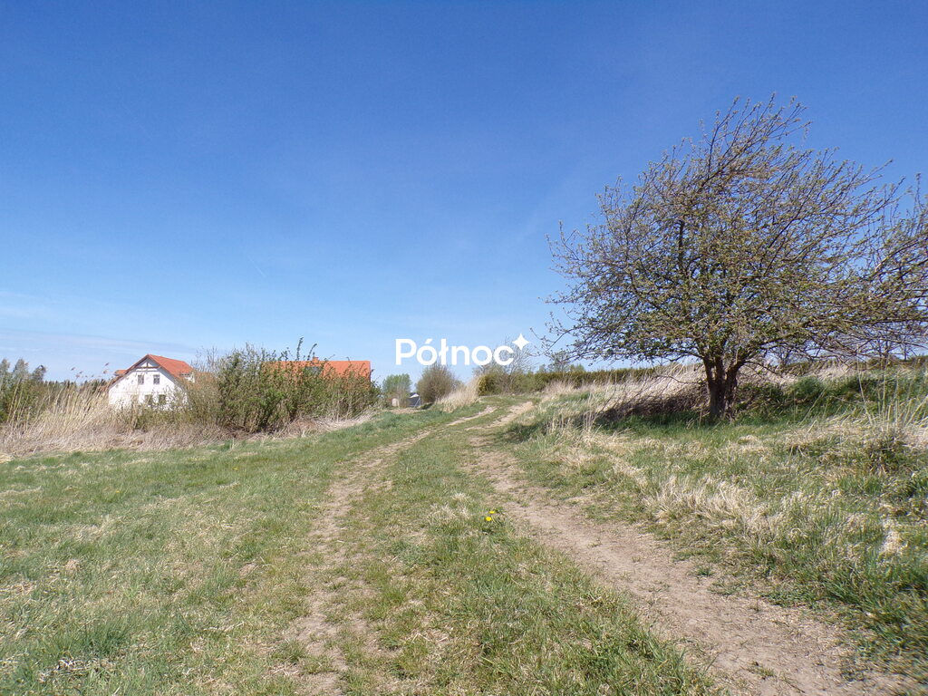 Zdjęcie 8