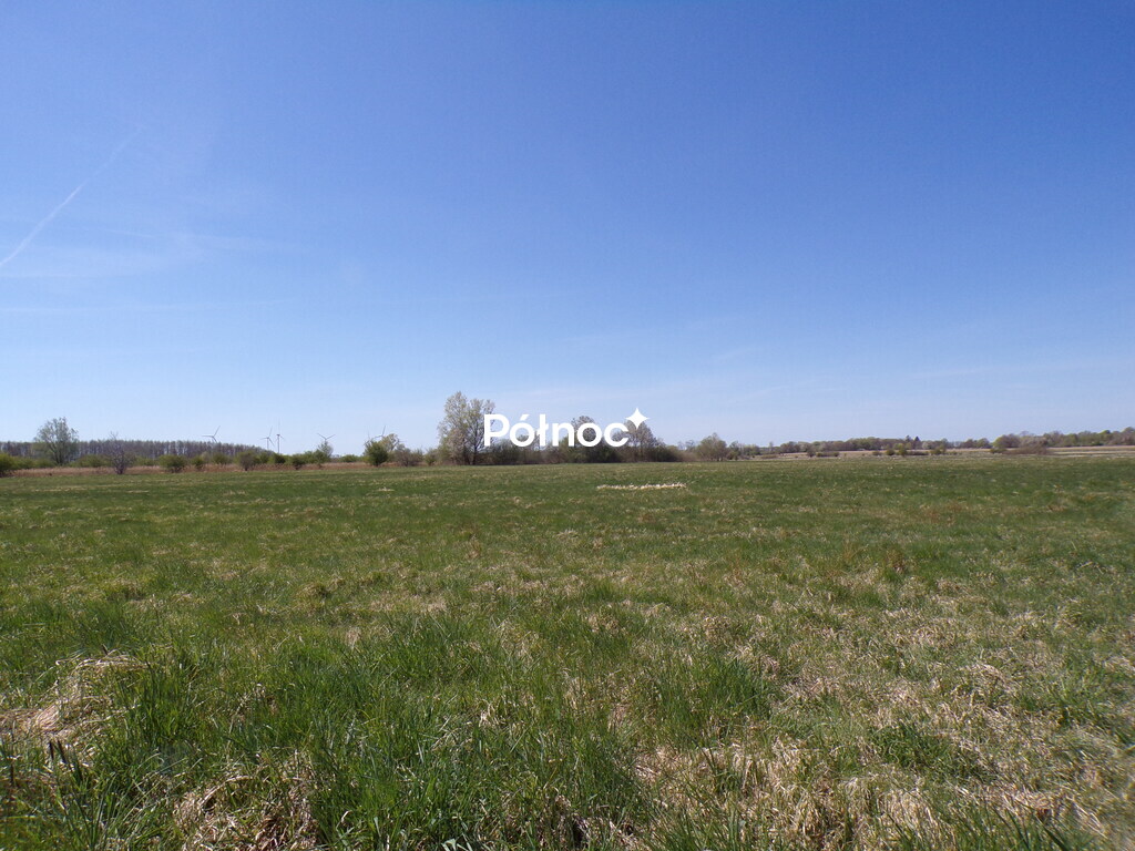Zdjęcie 9